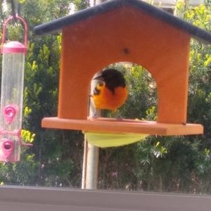 Meet your Posher, Ron